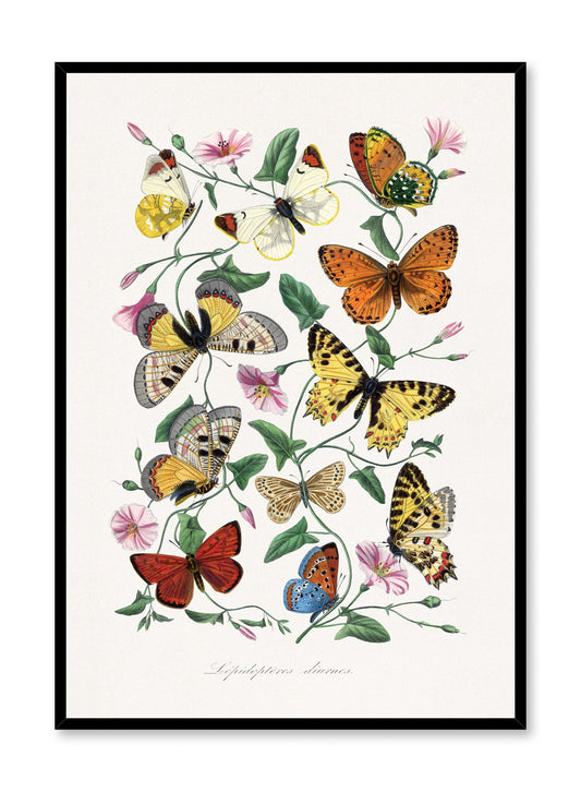 Flying Petals, Poster